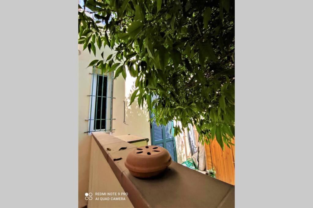 Home Careggi 佛罗伦萨 外观 照片